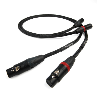 Chord Signature Tuned Aray analog XLR