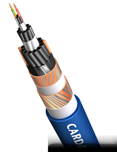 Cardas Clear Beyond analog RCA