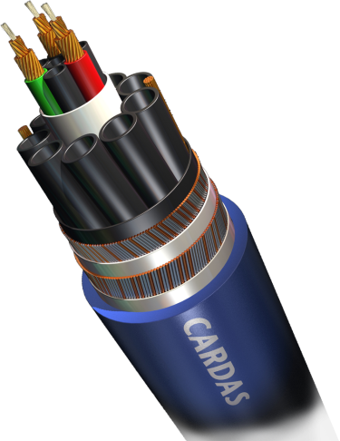 Cardas Clear analog XLR