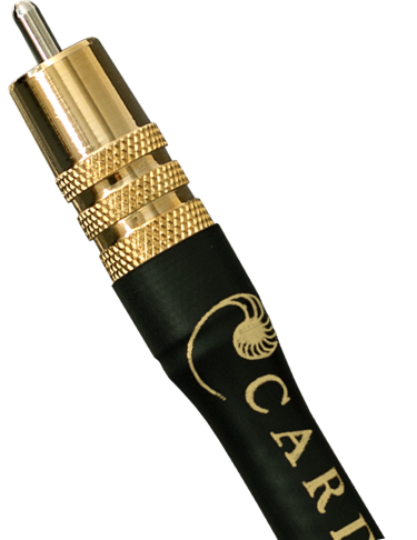 Cardas Parsec analog XLR