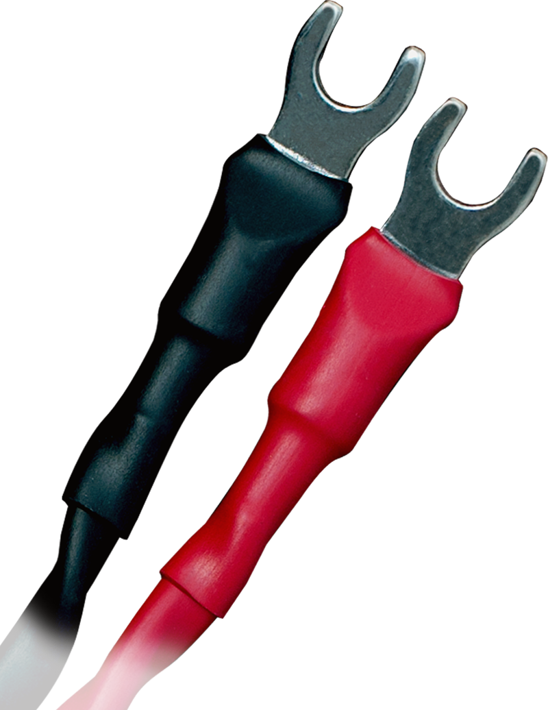 cross_sp_main_transparent-1.png cross_sp_main_transparent-1.png