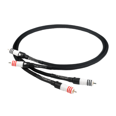 Chord Signature Tuned Aray analog RCA