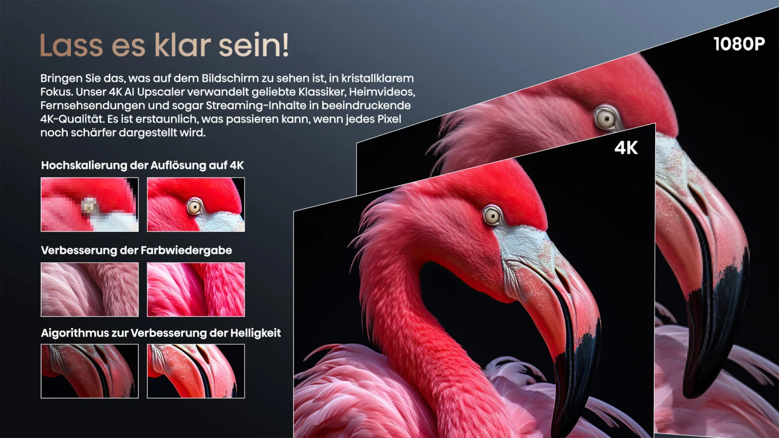 4K-4K-Upscaler_-1536x864 4K-4K-Upscaler_-1536x864