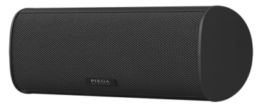 PIEGA Ace Center