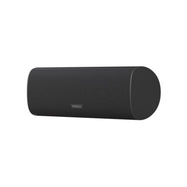 PIEGA Ace Center Wireless