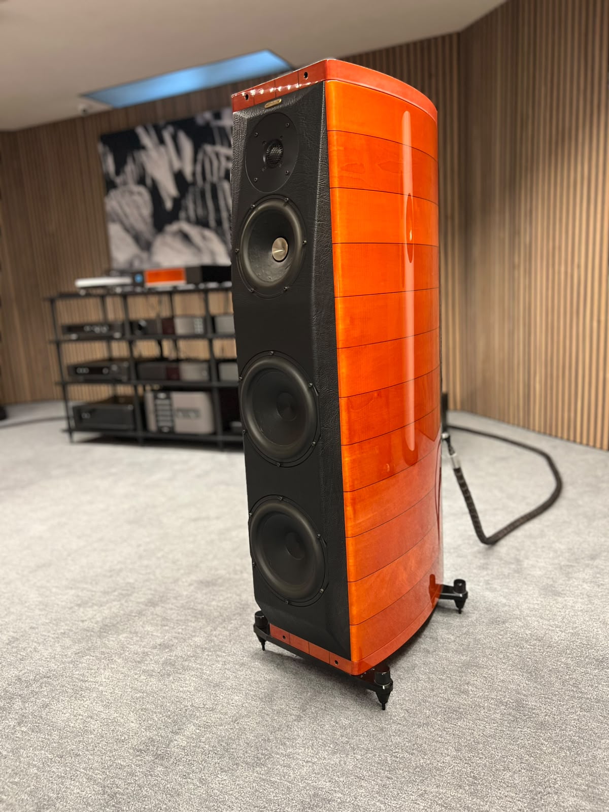 Sonus Faber1 Sonus Faber1